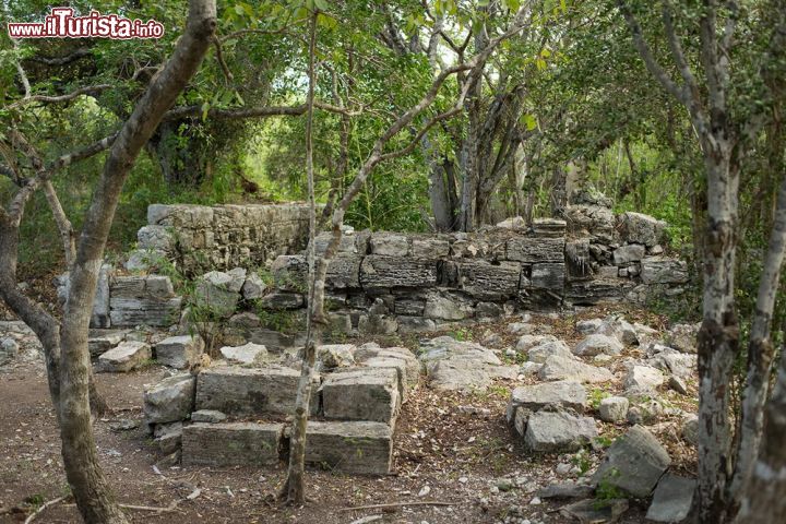 Immagine Il sito di Cheshire Hall, sull'isola di Providenciales, consente ai visitatori un tuffo nella storia recente di Turks and Caicos: si tratta di una ex piantagione di cotone che fu attiva nel 19° secolo, e ovviamente la manodopera era garantita dal lavoro degli schiavi. Una visita interessante, un'ottima alternativa alla classica vacanza di mare, e che offre anche spunti culturali e non solo naturalistici.