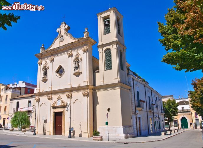 Immagine La Chiesa di Santa Maria del Carmine, San Severo, Puglia - la Chiesa di Santa Maria del Carmine di San Severo si può definire un piccolo gioiello barocco nel cuore di San Severo. Con un elegante facciata esterna e una splendida cupola decorata, questa chiesa carmelitana è tra le più belle della città, particolarmente apprezzata anche per il suo interno, in cui troviamo, per esempio, un bell'altare settecentesco e alcuni dipinti del pittore Mario Borgoni. - © Mi.Ti. / Shutterstock.com