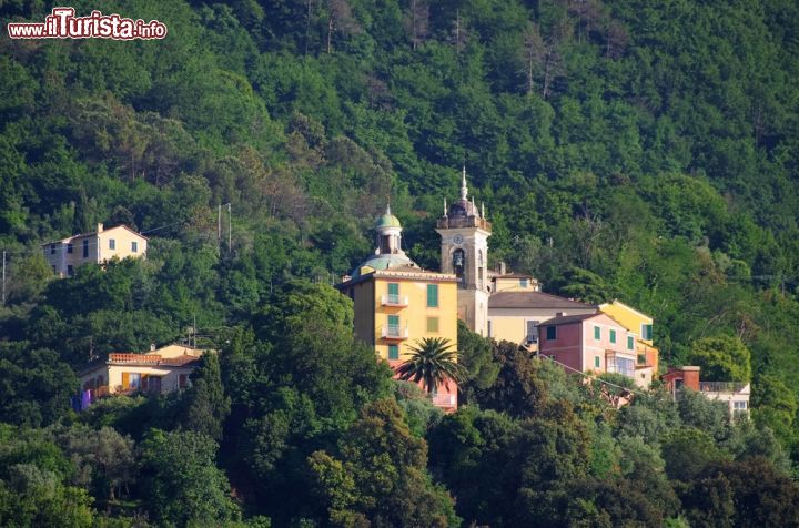 Immagine Il Golfo Paradiso e la Chiesa di San Rocco: lo spettacolo della natura si unisce ai colori dell'arte - la bella chiesetta dedicata a San Rocco è situata nell'omonima frazione della zona collinare di Camogli e, in particolare, nello splendido golfo genovese chiamato "Golfo Paradiso". Lo spettacolo offerto dalla chiesa e dalle case della frazione, totalmente immerse nella natura del golfo a pochi passi dal mare, è uno dei più belli che si possano ammirare nella zona.  - © LianeM / Shutterstock.com