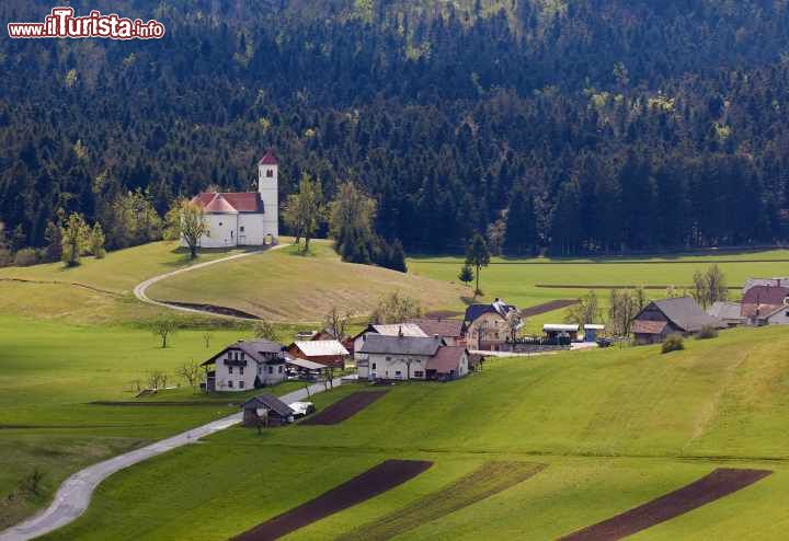 Immagine Chiesa di St. Volbenk nei dintorni di Cerknica, Slovenia - In Slovenia sorgono migliaia di chiese: sono rari i villaggi che ne sono privi e molti sono gli edifici religiosi solitari che sorgono sulle colline. Considerati una particolarità slovena, che gli intenditori associano ai posti di culto precristiani e ai luoghi di riparo degli abitanti autoctoni, sono spesso monumenti del patrimonio culturale. In questa immagine, la caratteristica cheisa di St. Volbenk circondata dal paesaggio carsico © FotoIvanKebe / Shutterstock.com