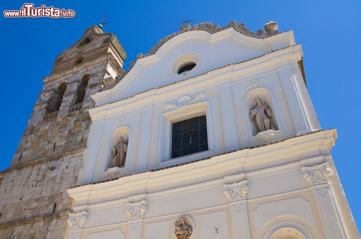 Immagine Chiesa della Santissima Trinità dei Celestini, San Severo, Puglia - situata nella centralissima Piazza della Repubblica, la Chiesa nonchè ex Monastero della Santissima Trinità dei Celestini è annoverata tra le più belle della città, non solo per la bella facciata settecentesca ma per i tesori custoditi al suo interno, come i dipinti di Girolamo Cenatempo e di Giuseppe Castellano. - © Mi.Ti. / Shutterstock.com