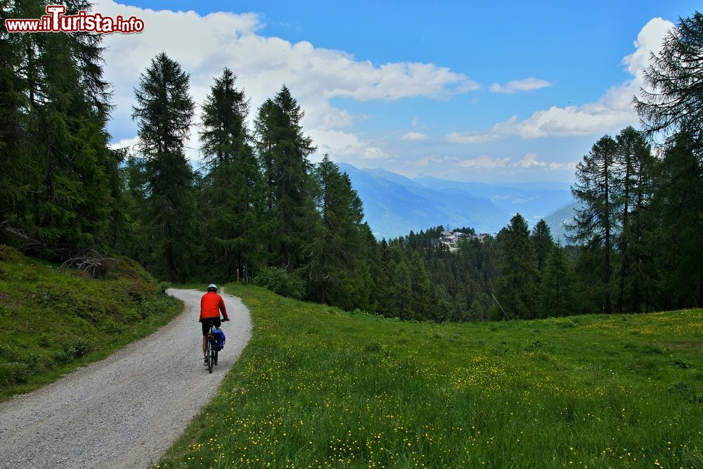 Immagine Ciclista in allenamento sulle mulattiere che salgano sul monte Spolverino a Folgarida
