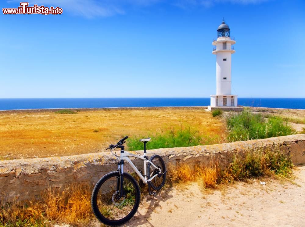 Immagine Cicloturismo a Formentera, isole Baleari, Spagna. Siamo nei pressi del faro di Capo Barbaria - © Turismo Baleari