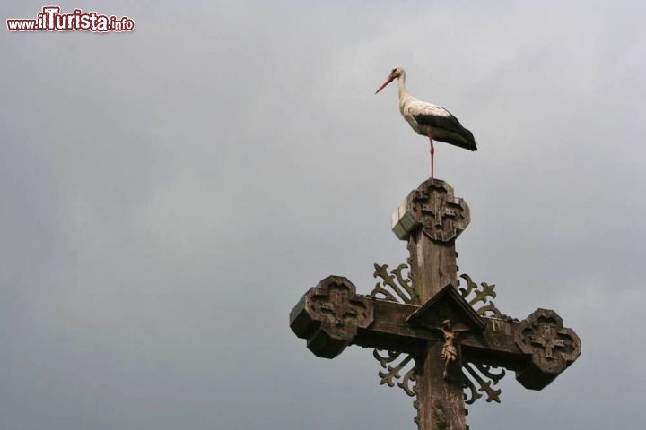 Immagine Una cicogna si riposa su un crocifisso in Lituania - © Vaida / shutterstock.com