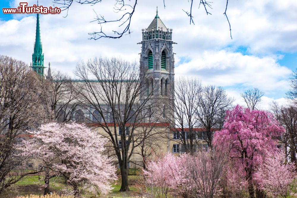 Le foto di cosa vedere e visitare a Newark