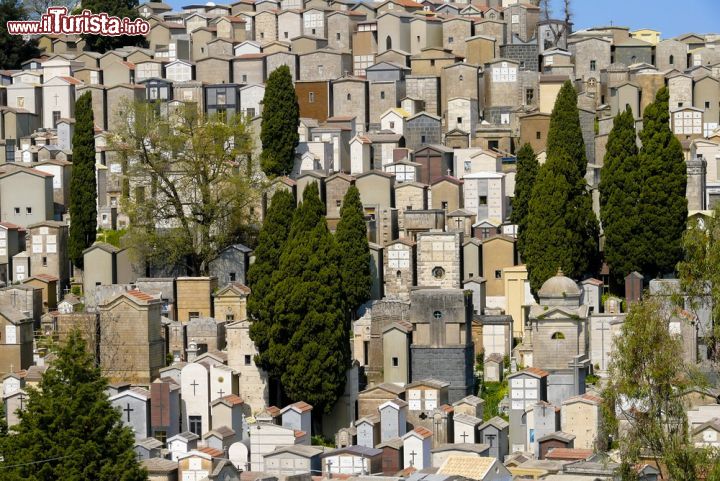 Immagine Il cimitero comunale di Enna, Sicilia - Il cimitero comunale di Enna è situato nel territorio di quello che un tempo era il Convento dei Frati Cappuccini. La particolarità di questo cimitero è la sua struttura in salita, derivante dal fatto che la città è costruita sulla cima di un monte. Proprio per questo motivo, Enna è il capoluogo di provincia più elevato d'Italia.  - © Gerrit Bunt / Shutterstock.com