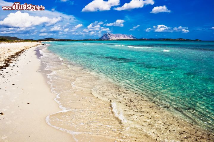 Immagine La Cinta: la spiaggia più famosa di San Teodoro, Sardegna - La Cinta è senza dubbio la spiaggia più nota e frequentata di San Teodoro, un vero e proprio paradiso di mare dove l'acqua è bassa e limpida, la sabbia bianca e fine e i ginepri avvolgono la spiaggia con il loro delicato profumo.  - © Sailorr / Shutterstock.com