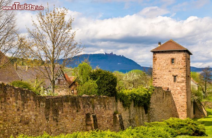 Immagine Cinta muraria di Bergheim, il borgo della Francia orientale - © Leonid Andronov / Shutterstock.com