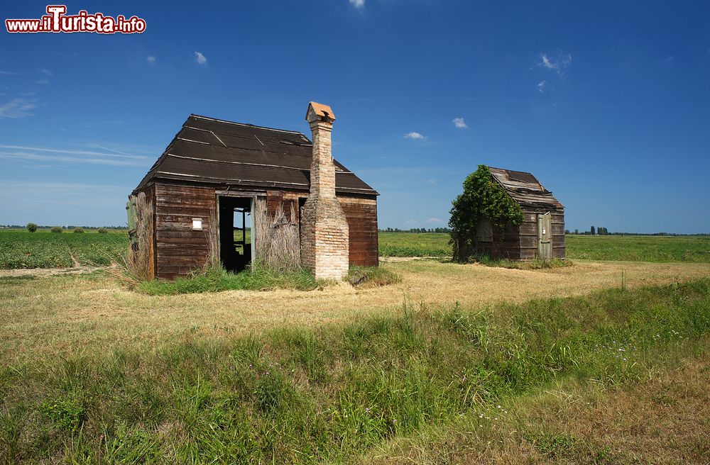 Immagine Codigoro, provincia di Ferrara: tradizionali edifici in legno vicino a un campo di pomodori.