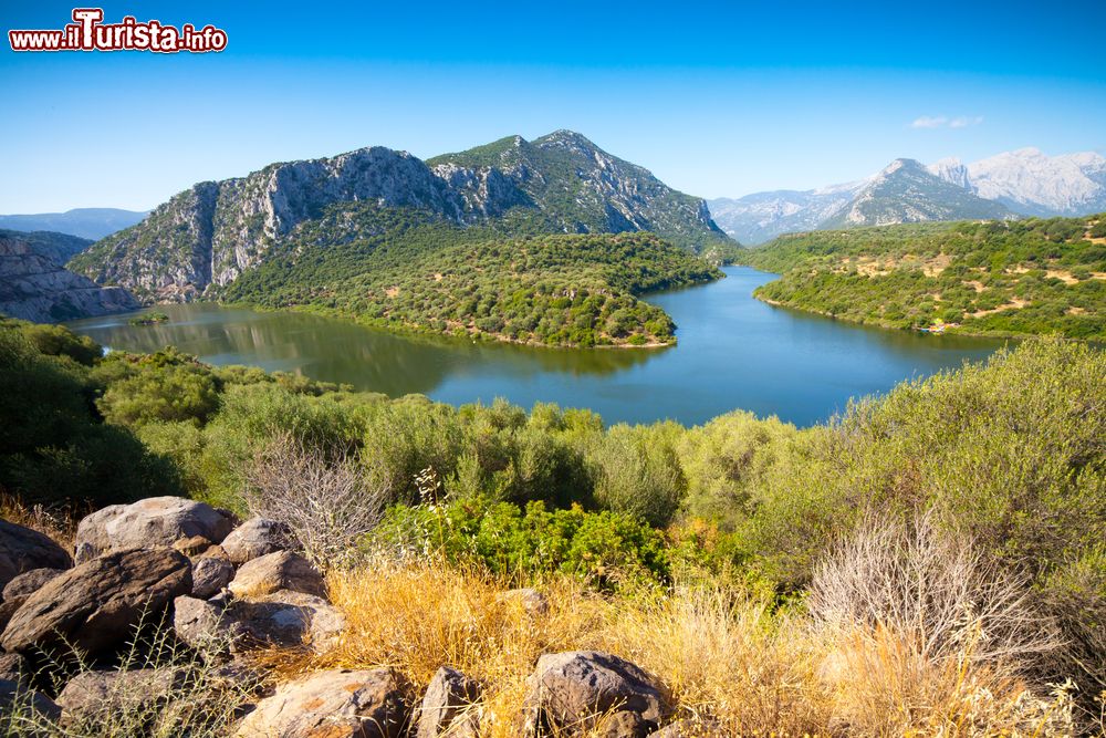Immagine Il lago di Coghinas, la natura selvaggia di uno dei laghi più belli della Sardegna.