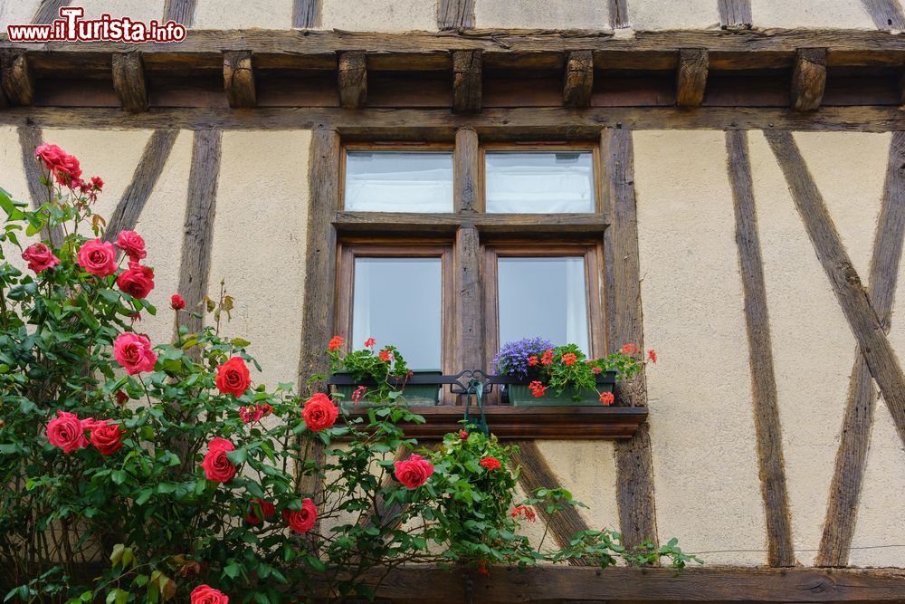 Immagine Cognac, la finestra di una casa a graticcio decorata con fiori colorati (Francia).