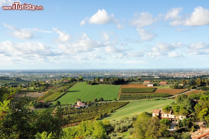 Immagine Colline di Romagna nei pressi di Longiano, Italia. Questo grazioso comune della provincia di Forlì-Cesena ha il suo bel centro storico che sorge sulle prime colline romagnole, a ridosso della riviera - © claudio zaccherini / Shutterstock.com