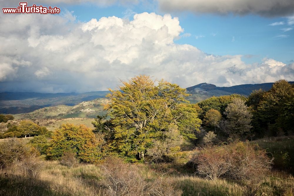 Immagine Colori autunnali nel Parco dei Nebrodi, Sicilia. Una suggestiva veduta dal Castell'Umberto situato sulla dorsale nord occidentale del Monte Rocca di Poggio fra le fiumare di Naso e di Fitalia.