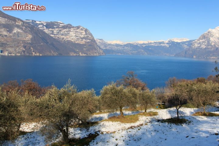 Immagine Coltivazioni di ulivi a Monte Isola, in inverno, Lago d'Iseo. Una suggestiva immagine degli uliveti che rendono famoso questo territorio della Lombardia dopo una nevicata - © Zocchi Roberto / Shutterstock.com