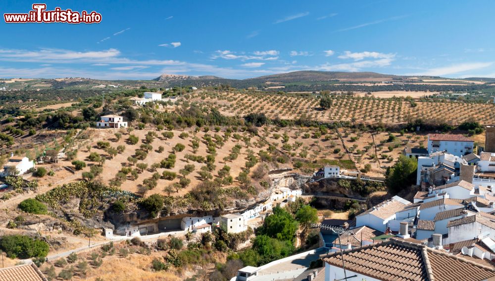 Immagine Coltivazioni di ulivi nelle montagne dell'Andalusia a Baeza, Spagna.