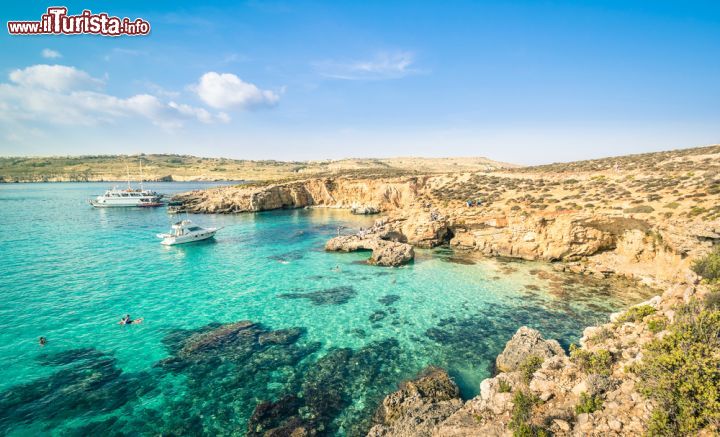 Immagine Acque cristalline a Comino, Malta - Rinomata per il suo mare trasparente di un profondo colore turchese, Comino ha una ricca fauna marina che la rende fra i luoghi più popolari per le immersioni subacquee. Nel 1993 il canale di Gozo è stato chiuso alle imbarcazioni proprio per preservare l'equilibrio ambientale dell'isola © View Apart / Shutterstock.com