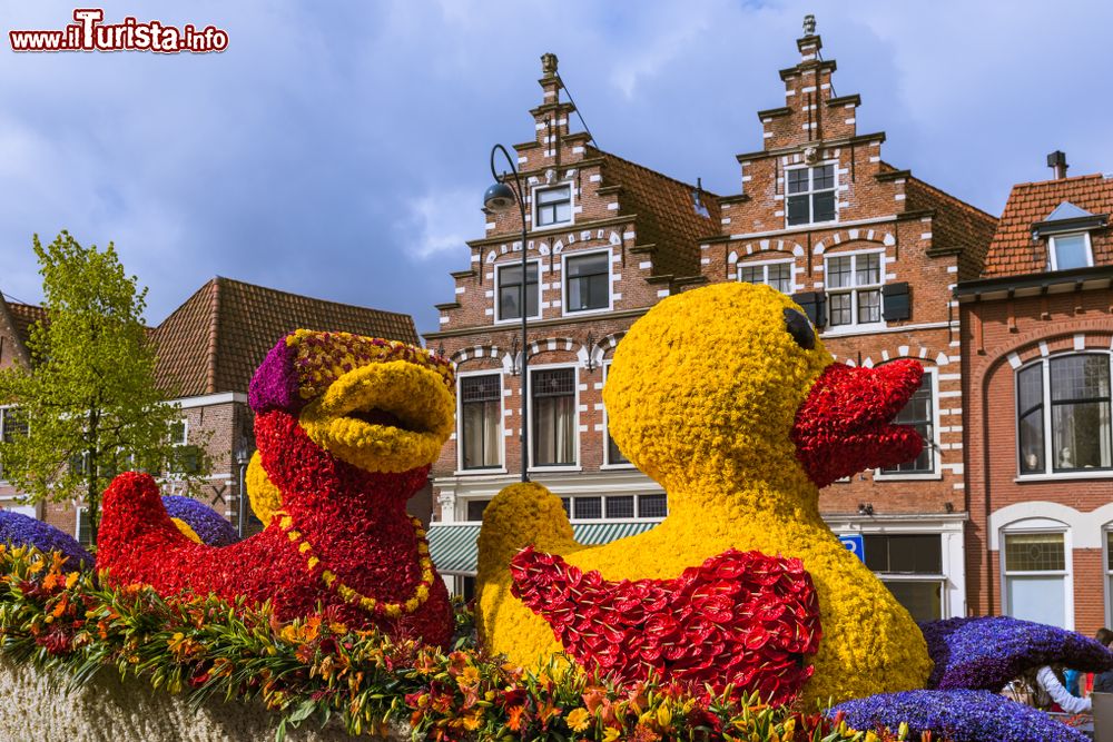 Immagine Composizioni floreali in occasione della sfilata dei fiori di Haarlem, Olanda.