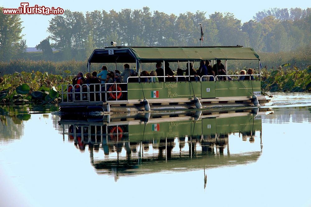 Immagine Con i Barcaioli del Mincio tra i fiori di Loto del Lago Superiore, Mantova, Lombardia.