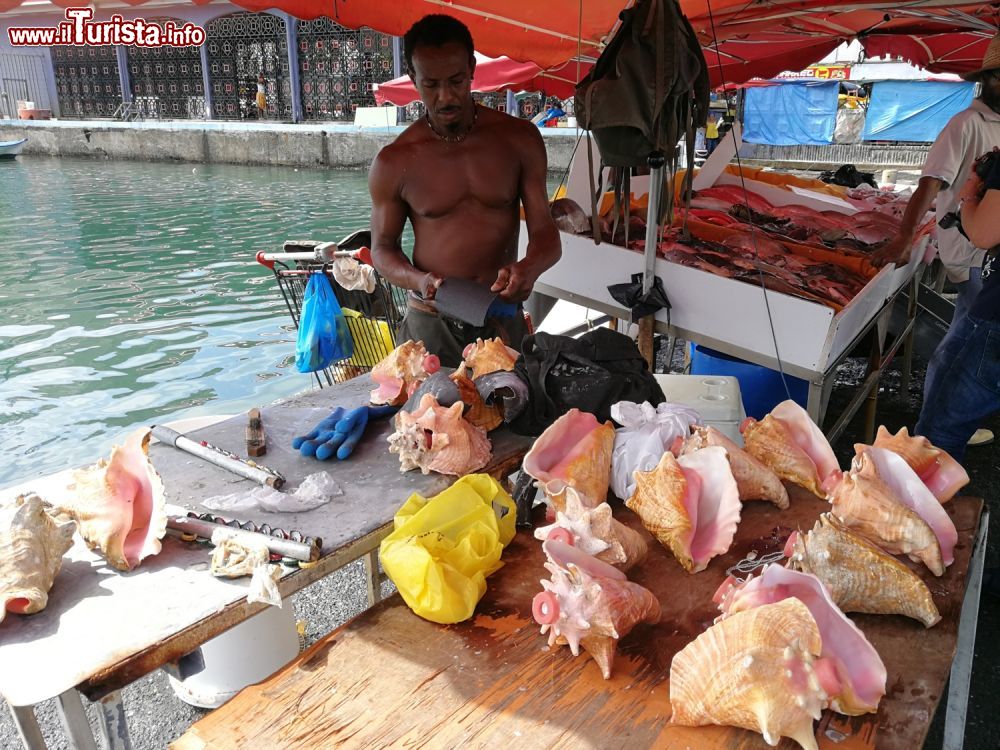Immagine Conchiglie vendute al Mercato di Poite a Pitre sulla Grande Terre a Guadalupe