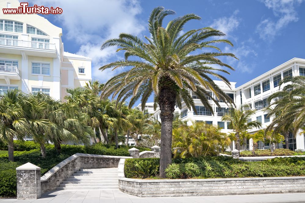 Immagine Condominii e edifici per uffici nel centro di Hamilton, isola di Bermuda.