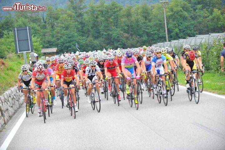 Immagine La Coppa dOro, il trofeo del migliore direttivo sportivo nel ciclismo, è una importante competizione sportiva che nwl mese di settembre richiama a Borgo Valsugana numerosi appassionati di ciclismo da tutta Italia - © foto MOSNA