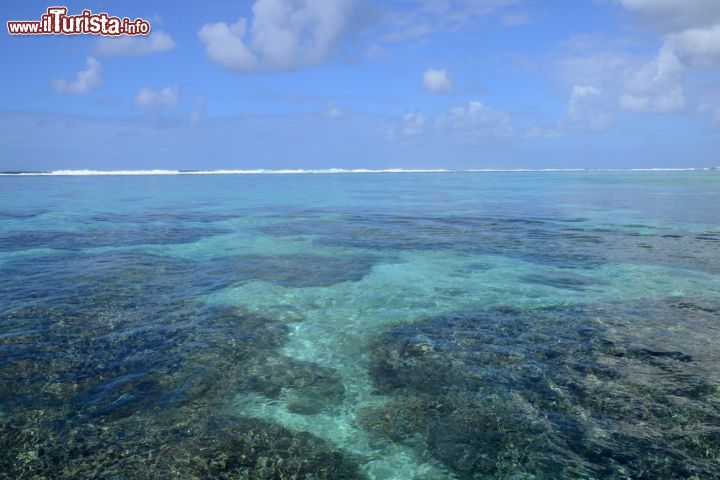 Immagine Coralli e reef nell'area di Mahebourg, Mauritius - Uno dei panorami più suggestivi offerti da questo paradiso dell'oceano Indiano è la barriera corallina © Pack-Shot / Shutterstock.com