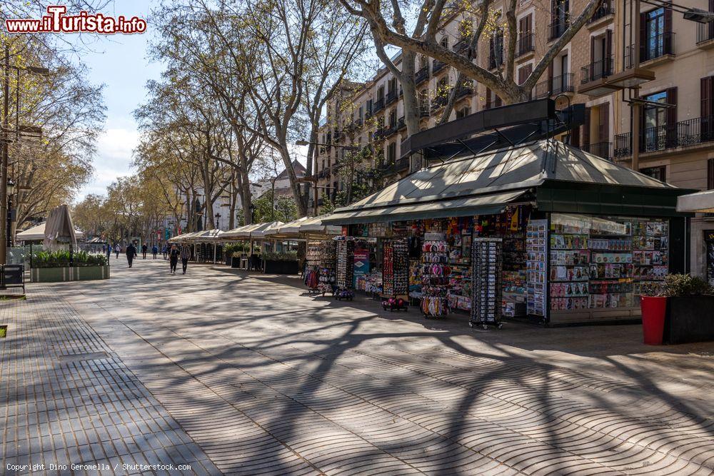 Immagine Coronavirus a Barcellona: anche  la Ramblas senza passeggio per la quarantena di COvid-19 in Spagna - © Dino Geromella / Shutterstock.com