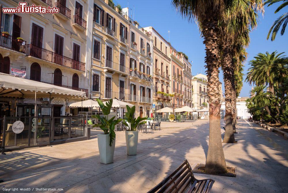 Immagine Corso Vittorio Emanuele nel centro di Bari, Puglia. E' la grande arteria alberata di Bari: divide la parte medievale della città da quella moderna voluta da Gioacchino Murat agli inizi del XIX° secolo - © mkos83 / Shutterstock.com
