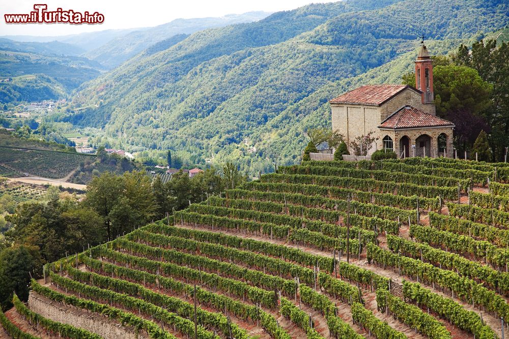 Immagine Cossano Belbo, nelle Langhe (Piemonte): la Chiesa di San Bovo