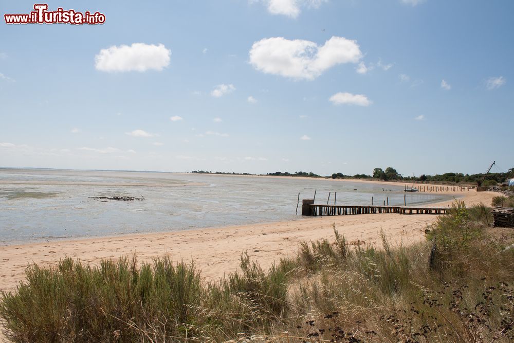 Immagine Panorama dalla costa atlantica dell'isola d'Oleron, Francia. Situata di fronte a Rochefort, Oleron è per estensione la più grande delle isole metropolitane dopo la Corsica.