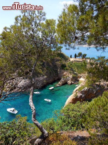 Immagine Costa Brava: sullo sfondo le acque antistanti Platja Castell, mentre in primo piano la piccola cala di La Foradada, protetta dal promontorio del Castell.