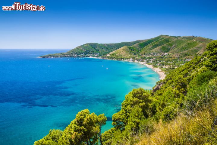 Immagine Costa del CIlento a sud di Agropoli, Campania - La rigogliosa vegetazione di questo lembo di Campania digrada dolcemente verso il litorale che si affaccia sul mar Tirreno © canadastock / Shutterstock.com