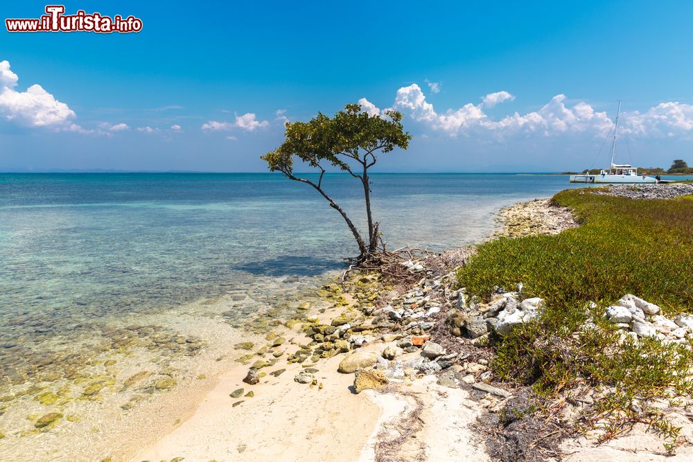 Immagine La costa di Cayo Blanco (Cuba) dove ogni giorno giungono i catamarani dei tour organizzati da Varadero.