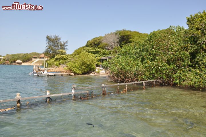 Immagine Costa di Roatan, Honduras - Un tratto di costa di Roatan, una delle meravigliose isole situate nella baia dell'Honduras, in Centro America © Ritu Manoj Jethani / Shutterstock.com