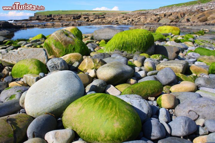 Immagine Costa irlandese a Capo Downpatrick, Irlanda del Nord. Osservando il tratto costiero del promontorio di Downpatrick si rimane affascinati dallo spettacolo offerto dalla natura - © Judith Lienert / Shutterstock.com