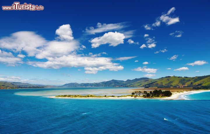 Immagine Panorama sulla costa del Pacifico a Dunedin, Nuova Zelanda - © Pichugin Dmitry / Shutterstock.com