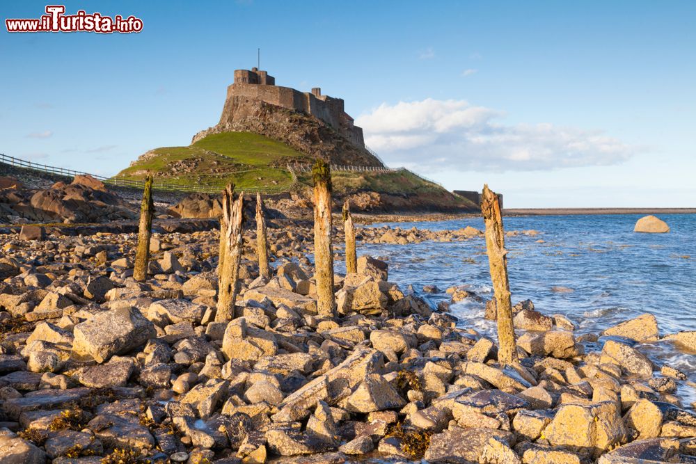 Immagine Costa rocciosa del Northumberland, Inghilterra. Sullo sfondo, la fortezza di Lindisfarne in una giornata con il cielo azzurro.