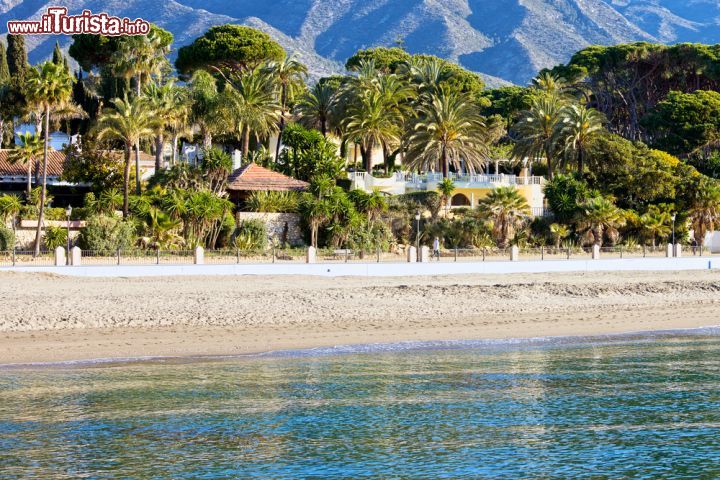 Immagine Un tratto della costa sabbiosa di Marbella, Spagna. Case e strutture ricettive si affacciano sul Mediterraneo circondate da palme e vegetazione lussureggiante - © Artur Bogacki / Shutterstock.com