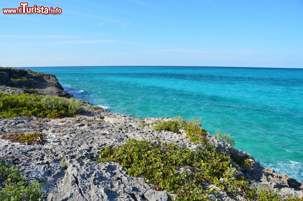 Immagine Costa selvaggia con il mare turchese a Cayo Largo, Cuba. Si tratta di uno dei luoghi del Mare dei Caraibi dove regna ancora la fauna selvatica.