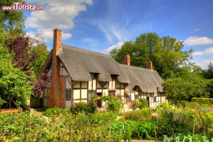 Immagine Il Cottage di Anne Hathaway, la moglie di Shakespeare. Si trova a Stratford-Upon-Avon in Inghilterra - © David Steele / Shutterstock.com
