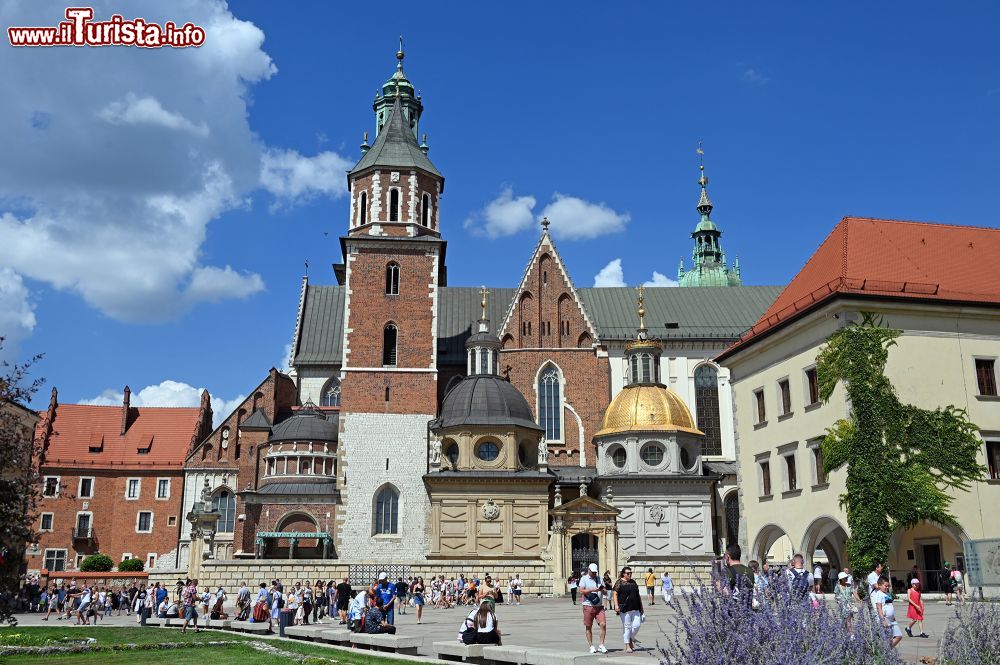 Immagine Cracovia, veduta del complesso del Castello di Wawel  - Foto S. Vietto Ramus e Massimo Valentini