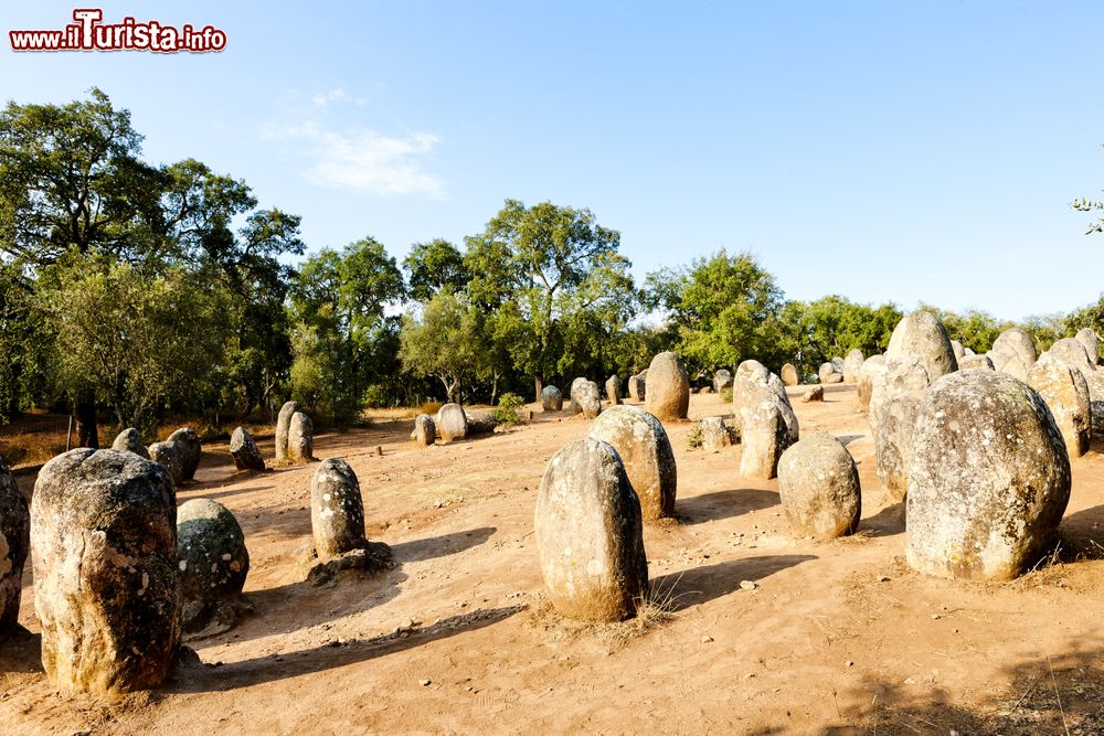 Immagine Il Cromlech di Almendres nei pressi di Evora, Alentejo, Portogallo. Si tratta di un complesso megalitico situato nel territorio del Comune di Nossa Senhora de Guadalupe, distretto di Evora. E' il più vasto della penisola iberica nonché uno dei maggiori d'Europa.