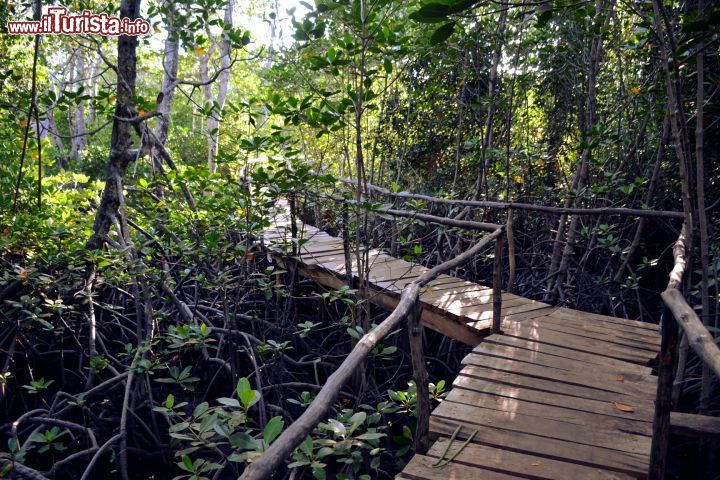 Immagine Dabaso (Watamu): una passerella s'insinua tra le mangrovie di Mida Creek per condurre al ristorante a gestione comunitaria "Crab Shack".