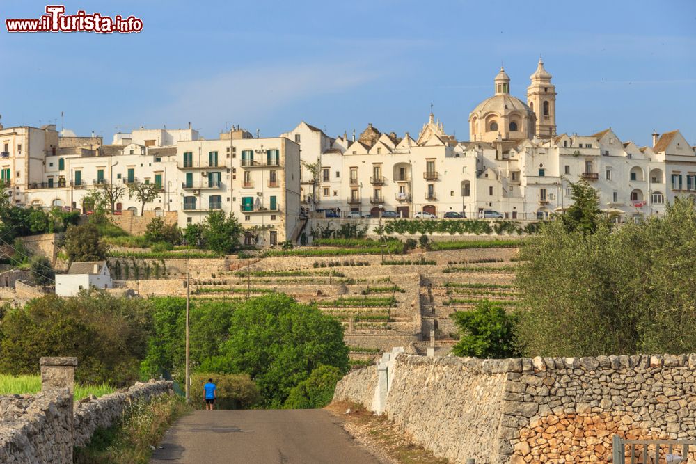Immagine Dall'alto di una collina Locorotondo domina il paesaggio della Valle d'Itria in Puglia