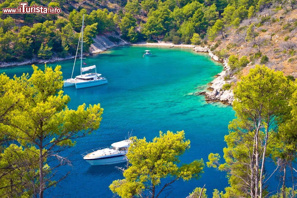Immagine Piccola spiaggia sull'isola di Brac, in Dalmazia, Croazia