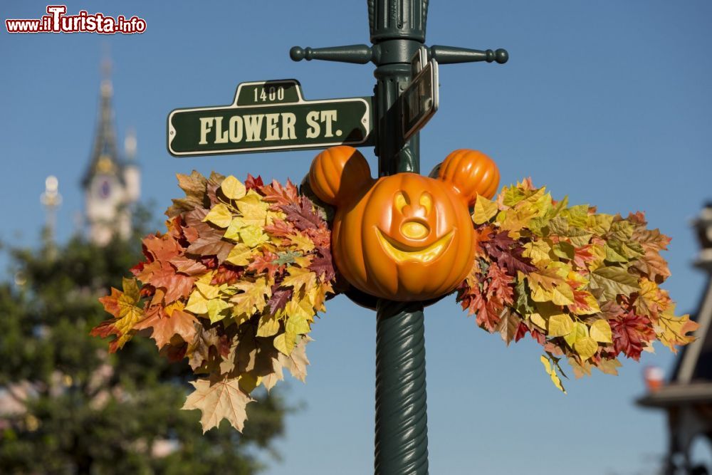 Immagine Decorazione in stile Halloween a Disneyland Paris in ottobre - © news.disneylandparis.com