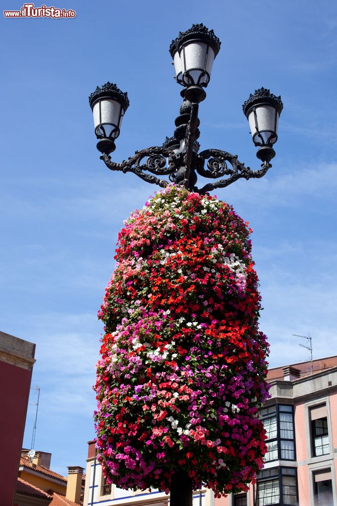 Immagine Decorazioni floreali abbelliscono un lampione di strada a Gijon, Asturie, Spagna.