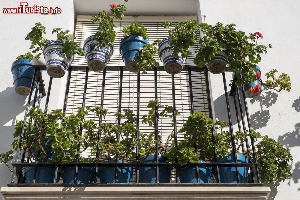 Immagine Decorazioni floreali sul balcone di una casa a Priego de Cordoba, Spagna.