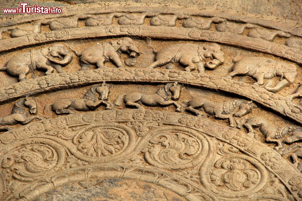 Immagine Decorazioni scultoree nell'antica città di Polonnaruwa, Sri Lanka.