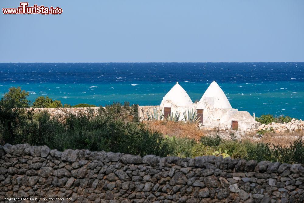 Immagine Dei trulli sulla costa vicino a Monopoli in Puglia. - © Lois GoBe / Shutterstock.com